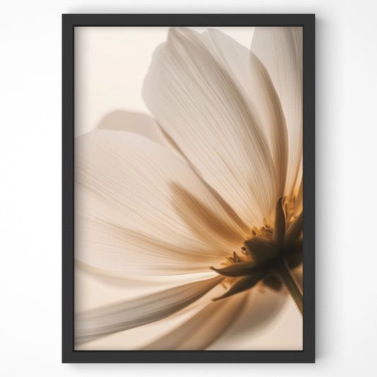 Close-up of a delicate flower with warm golden hues, soft lighting, and a fine-art botanical aesthetic in a premium wall print.