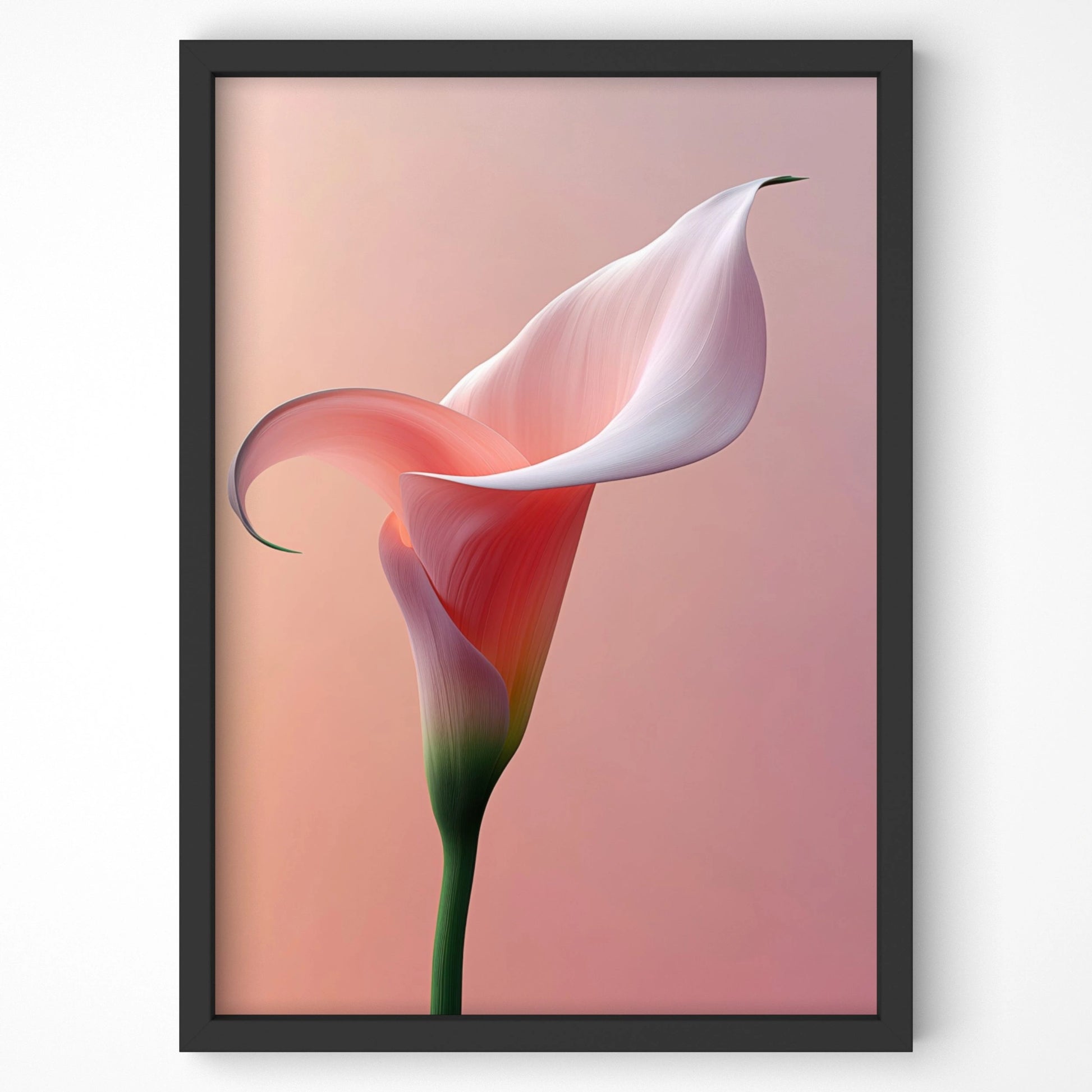 Graceful calla lily botanical print featuring soft pink and white tones, framed in black. A timeless floral piece for elegant interiors and modern decor.