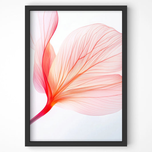 Framed minimalist botanical wall art print featuring a delicate red and orange petal with fine line detailing on a white background.