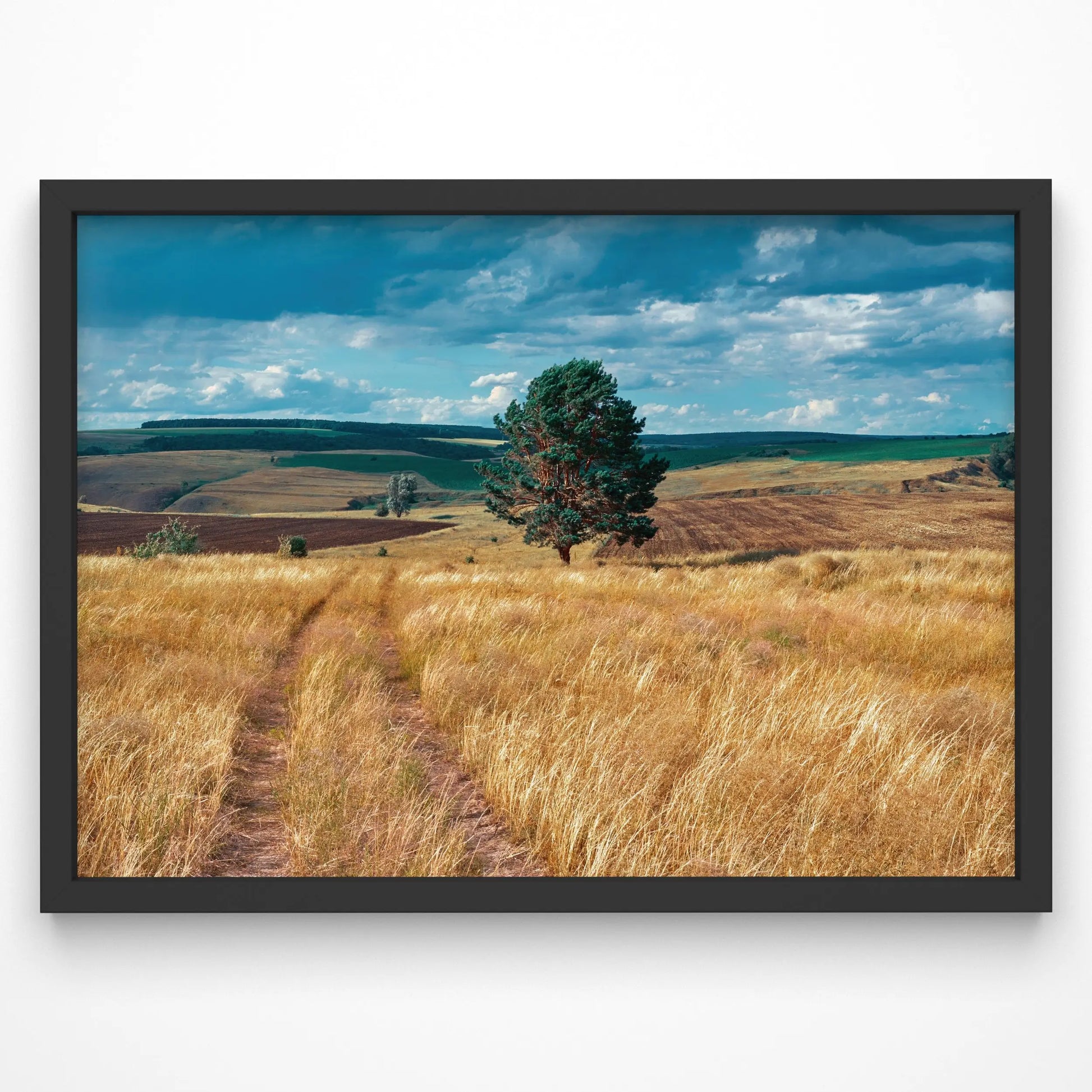 Beautiful wall art print showcasing golden fields under a vibrant blue sky.
