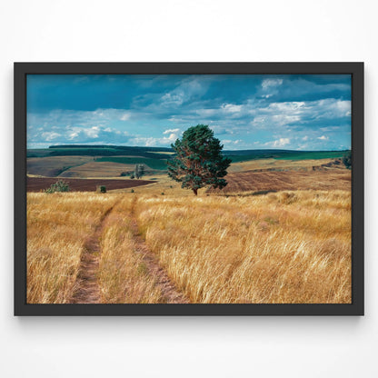 Beautiful wall art print showcasing golden fields under a vibrant blue sky.
