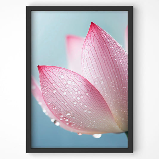 Close-up of pink lotus flower with dewdrops, set against a soft blue background, framed in black. Botanical wall art print for modern home decor.