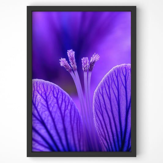 Royal Bloom botanical wall art print featuring deep purple petals with intricate details, perfect for modern interiors.
