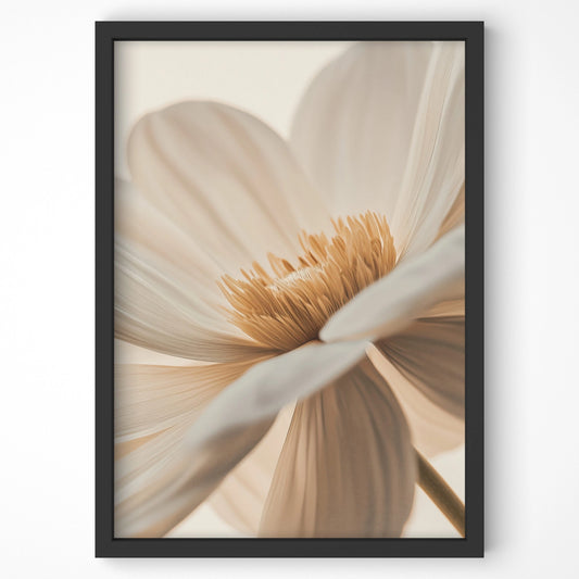 Close-up of a delicate ivory flower with soft petals in neutral tones, captured in a fine-art botanical wall print.