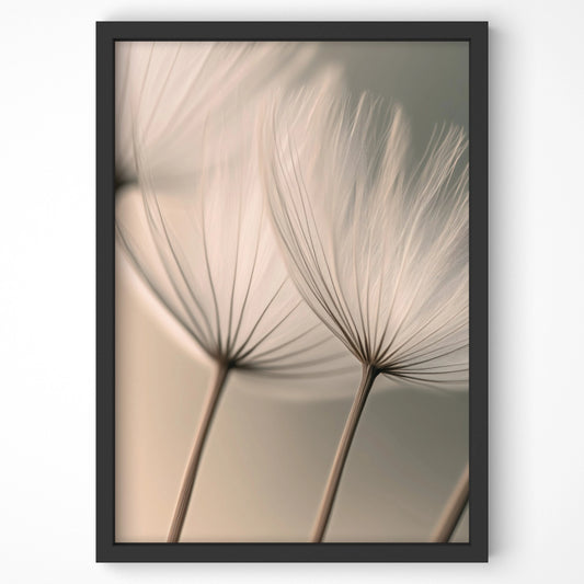 Close-up of delicate dandelion seeds in soft neutral tones, captured in a fine-art botanical wall print.